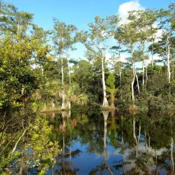 Riverbend Park - Jupiter