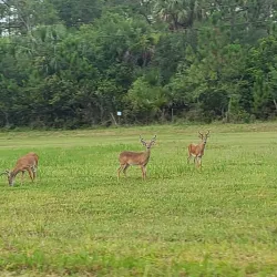 Riverbend Park - Jupiter