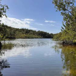 Dagny Johnson Key Largo Hammock Botanical State Park - Key Largo