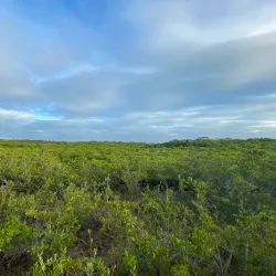 Dagny Johnson Key Largo Hammock Botanical State Park - Key Largo