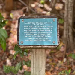 Dagny Johnson Key Largo Hammock Botanical State Park - Key Largo