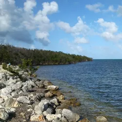 Dagny Johnson Key Largo Hammock Botanical State Park - Key Largo