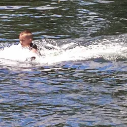 Dolphins Plus Bayside - Key Largo