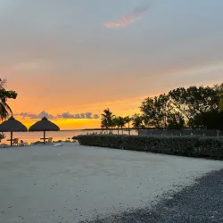 Dolphins Plus Bayside - Key Largo