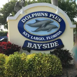 Dolphins Plus Bayside - Key Largo