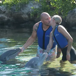 Dolphins Plus Bayside - Key Largo