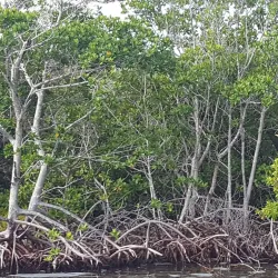 Florida Keys National Marine Sanctuary - Key Largo