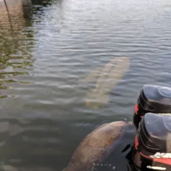 Florida Keys National Marine Sanctuary - Key Largo