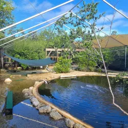 Florida Keys Wild Bird Rehabilitation Center - Key Largo