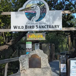 Florida Keys Wild Bird Rehabilitation Center - Key Largo