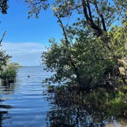 Florida Keys Wild Bird Rehabilitation Center - Key Largo