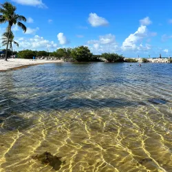 Harry Harris Park - Key Largo