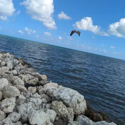 Harry Harris Park - Key Largo
