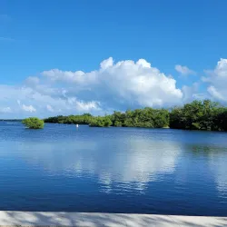 John Pennekamp Coral Reef State Park - Key Largo