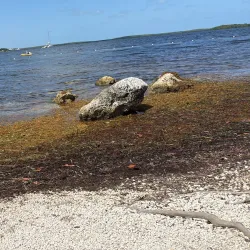 John Pennekamp Coral Reef State Park - Key Largo