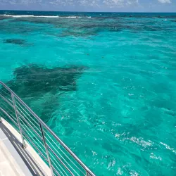 John Pennekamp Coral Reef State Park - Key Largo