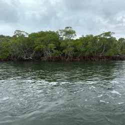 John Pennekamp Visitor Center and Aquarium - Key Largo