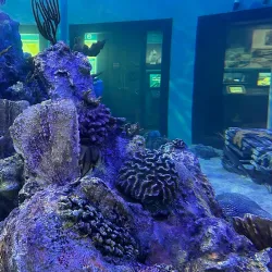 John Pennekamp Visitor Center and Aquarium - Key Largo