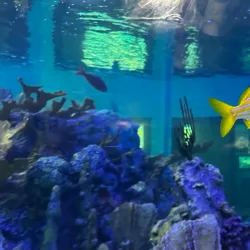 John Pennekamp Visitor Center and Aquarium - Key Largo