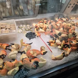 Key Largo Fisheries - Key Largo