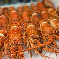 Key Largo Fisheries - Key Largo