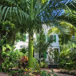 Audubon House and Tropical Gardens - Key West