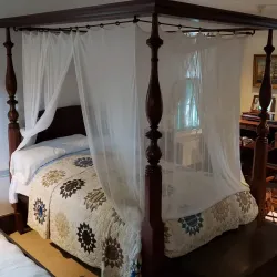 Audubon House and Tropical Gardens - Key West