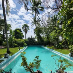 Ernest Hemingway Home and Museum - Key West