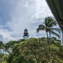 Ernest Hemingway Home and Museum - Key West
