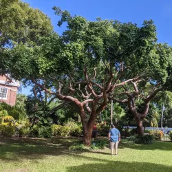 Harry S. Truman Little White House - Key West