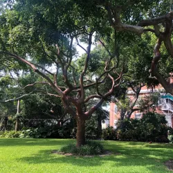Harry S. Truman Little White House - Key West
