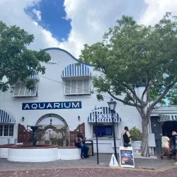 Key West Aquarium - Key West