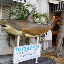 Key West Aquarium - Key West