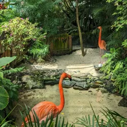 Key West Butterfly and Nature Conservatory - Key West