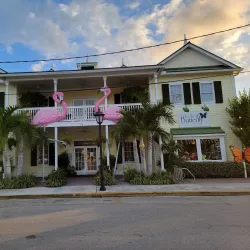 Key West Butterfly and Nature Conservatory - Key West