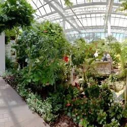 Key West Butterfly and Nature Conservatory - Key West