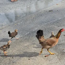 Southernmost Point Buoy - Key West