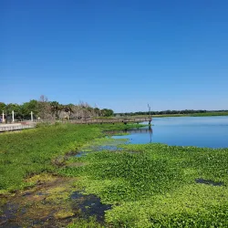 Kissimmee Lakefront Park - Kissimmee