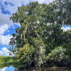 Lake Tohopekaliga (Lake Toho) - Kissimmee