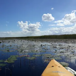 Lake Tohopekaliga (Lake Toho) - Kissimmee