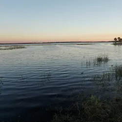Lake Tohopekaliga (Lake Toho) - Kissimmee