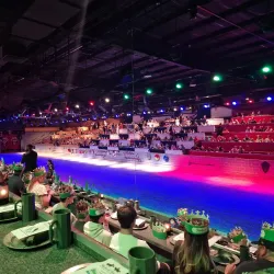 Medieval Times Dinner & Tournament - Kissimmee
