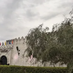 Medieval Times Dinner & Tournament - Kissimmee