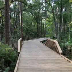 Shingle Creek Regional Park - Kissimmee