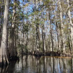 Shingle Creek Regional Park - Kissimmee