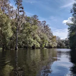Shingle Creek Regional Park - Kissimmee