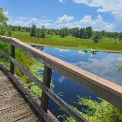 Alligator Lake Park - Lake City