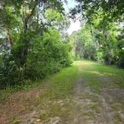 Alligator Lake Park - Lake City