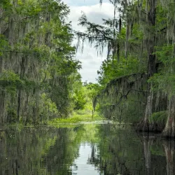 Alligator Lake Park - Lake City