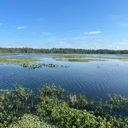 Alligator Lake Park - Lake City